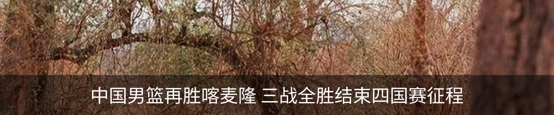 内页banner