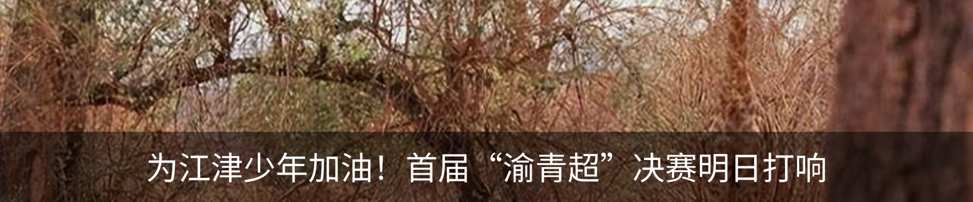内页banner