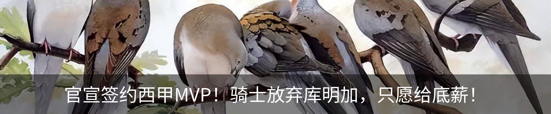 内页banner
